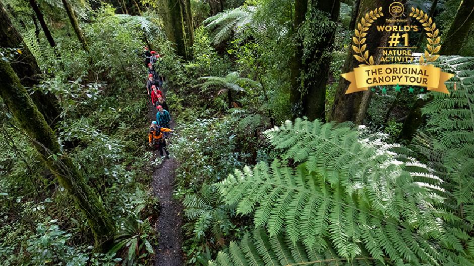 Voted TripAdvisor’s #1 Nature Activity in the world! 
Soar through ancient forest on a network of ziplines, swingbridges and treetop platforms in this unforgettable adventure, perfect for all ages. 
